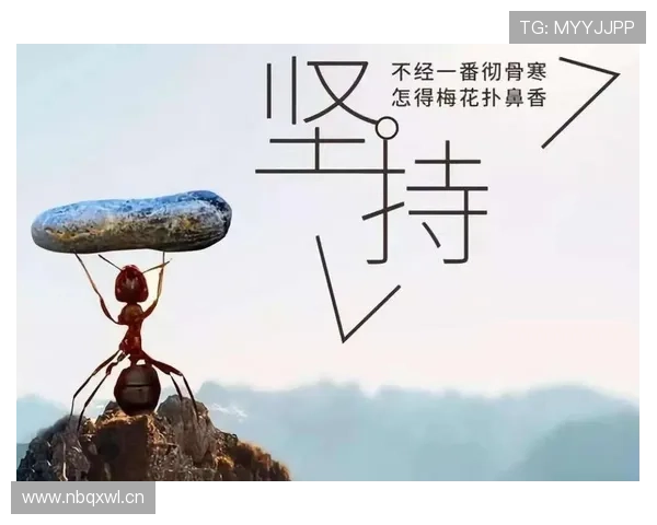 对话赛场背后的坚持与梦想体育人物深度专访纪实成长心路与时代回响